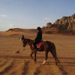 Guest review Jordan Desert Journeys