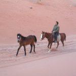 Guest review. Horse riding Wadi Rum, Jordan