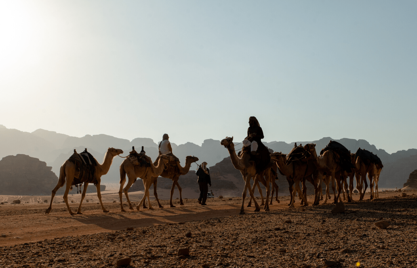 Camel riding in the desert of Wadi Rum, Jordan