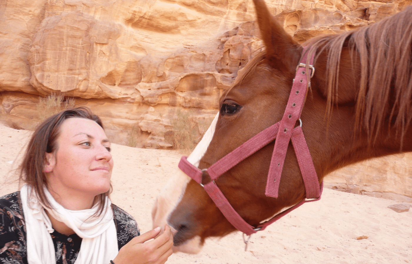 Connection with animals in the desert of Wadi Rum, Jordan