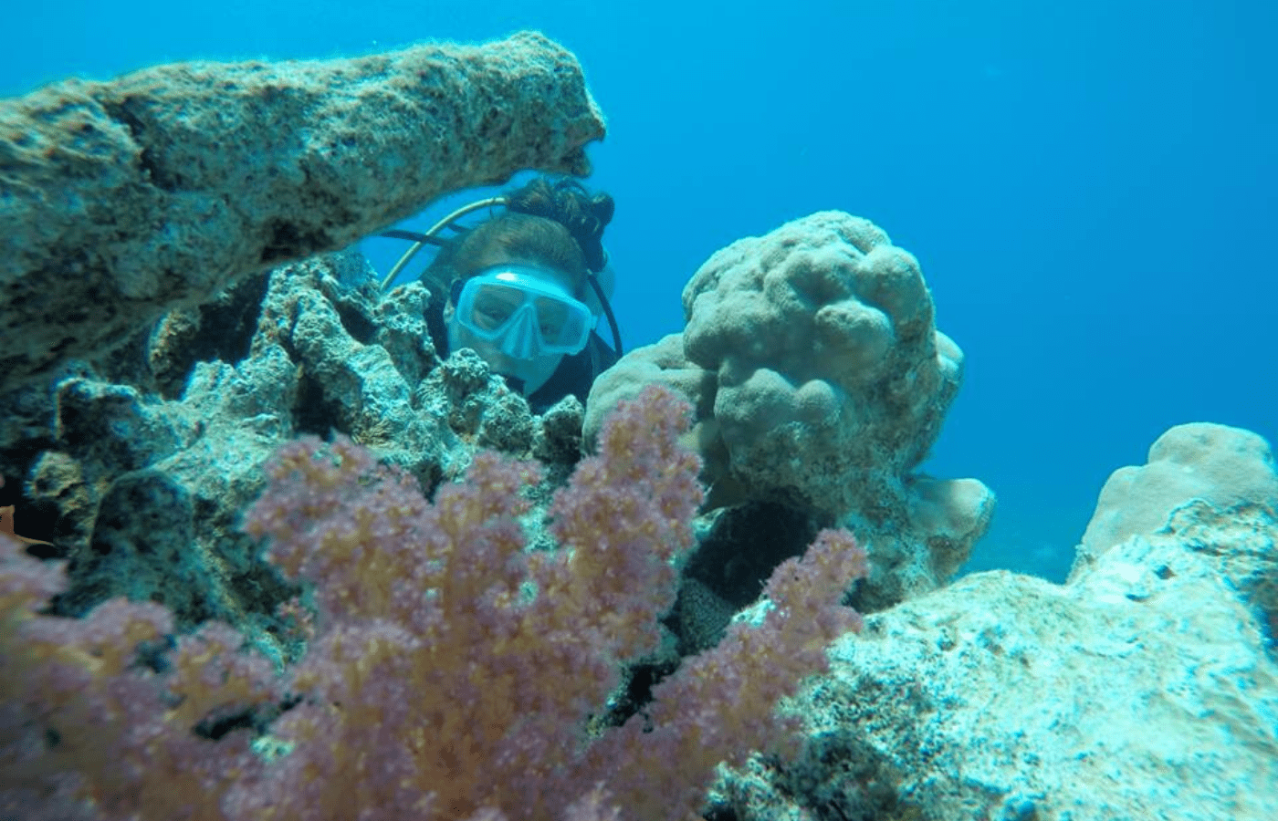 Diving and snorkeling in the Red Sea, Aqaba, Jordan