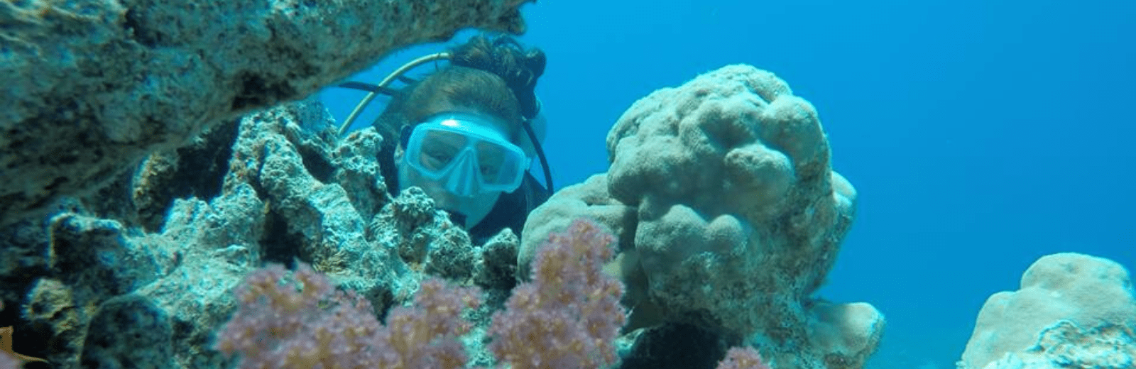 Themareis duiken en snorkelen in de Rode Zee, Jordanië. Jordan Desert Journeys