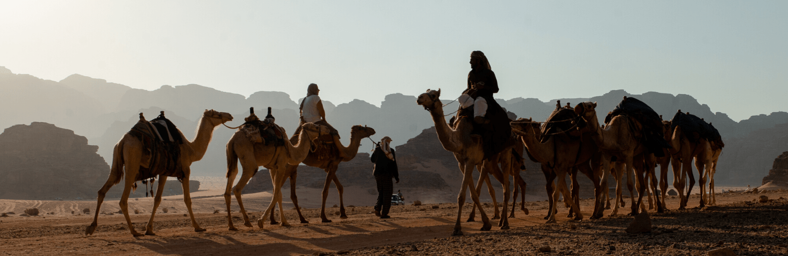 Themareis kameel rijden, Jordanië. Jordan Desert Journeys