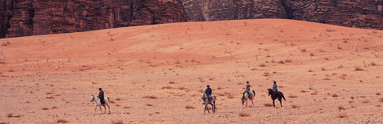 Culturele rondreis met paardrijden in Wadi Rum. Jordan Desert Journeys