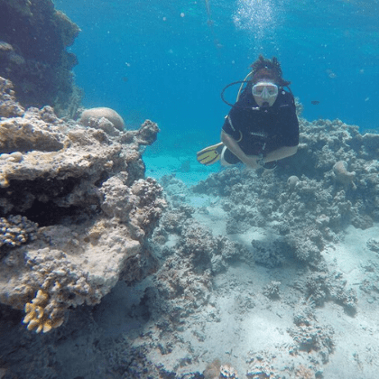 Diving Aqaba, Red Sea. Jordan Desert Journeys