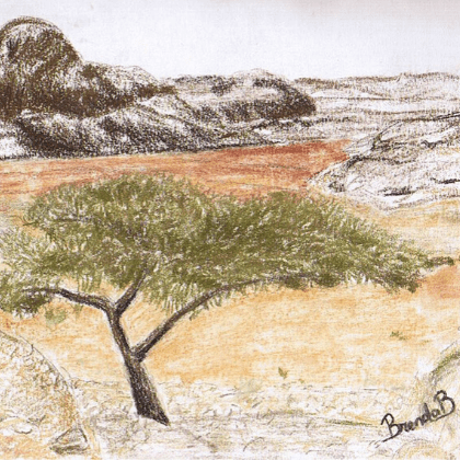 Drawing and painting retreat in Wadi Rum. Jordan Desert Journeys