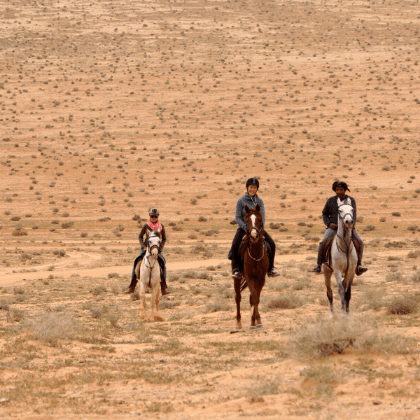 Learn to ride a horse in the Wadi Rum in 2.5 days. Jordan Desert Journeys