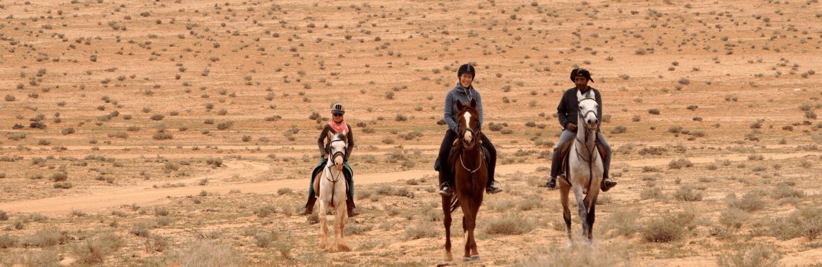 Leren paardrijden in de Wadi Rum in 2,5 dag. Jordan Desert Journeys