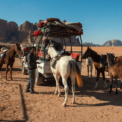 Paarden trektocht vanaf 1 dag in de woestijn, met overnachting onder de sterren. Jordan Desert Journeys