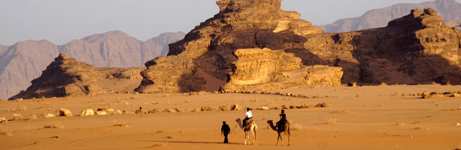 Kameel tocht 1 dag met mogelijkheid tot overnachten onder de sterren. Jordan Desert Journeys