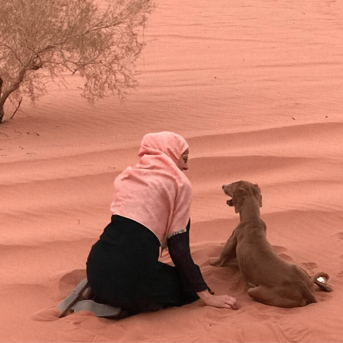 Reistips blog Jordanië voor De wereldwijven. Jordan Desert Journeys