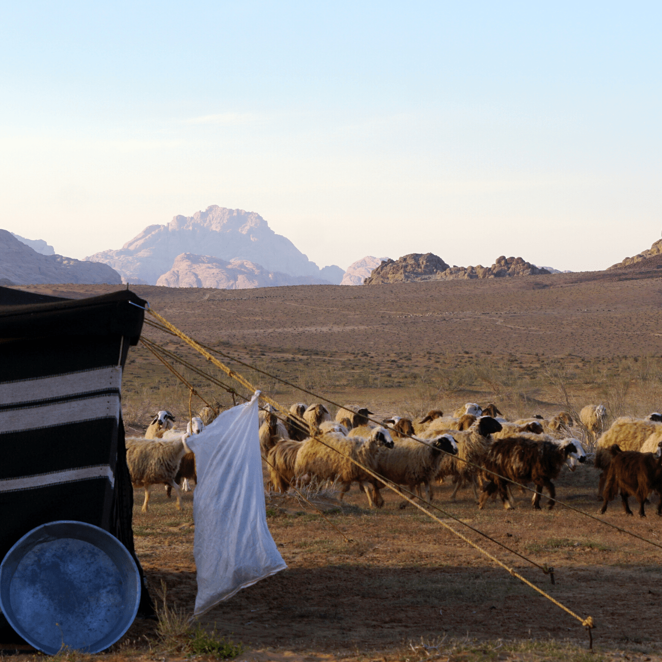 Bezoek aan mijn Bedoeïenenfamilie tijdens het offerfeest. Blog voor De wereldwijven. Jordan Desert Journeys