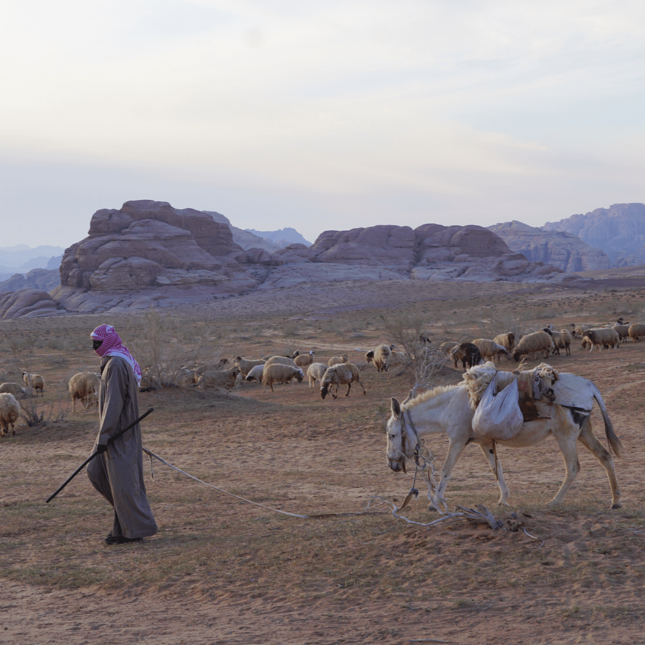 Bezoek aan mijn Bedoeïenenfamilie tijdens het offerfeest. Blog voor De wereldwijven. Jordan Desert Journeys