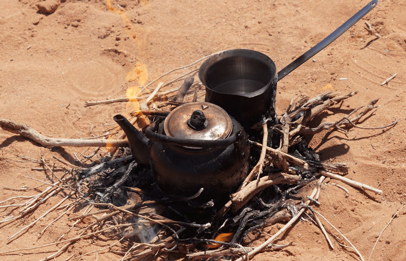 Contact with Jordan Desert Journeys