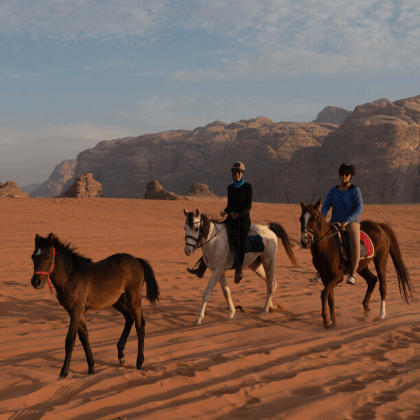 6 days of horseback riding in the Wadi Rum. Jordan Desert Journeys