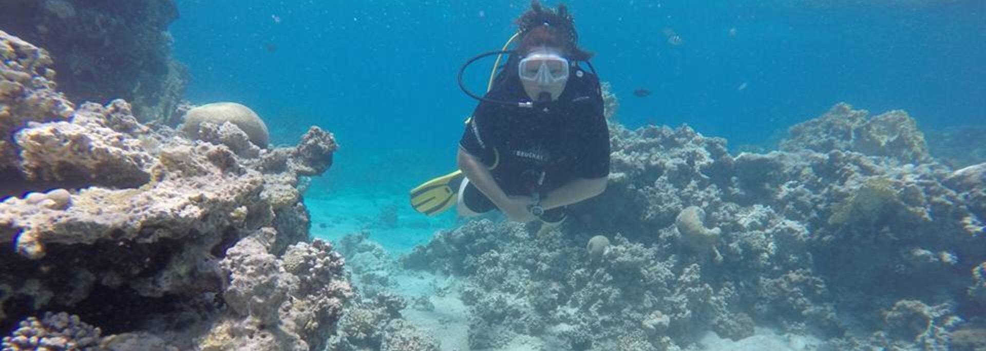 Diving and snorkeling in the Red Sea