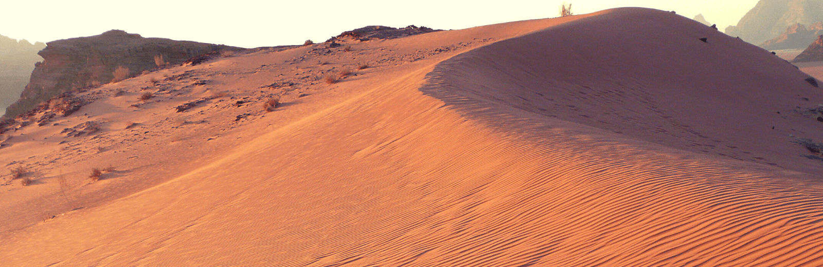 Jordan Desert Journeys
