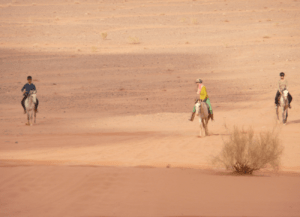 Anika Redhed horseback riding in the Wadi Rum