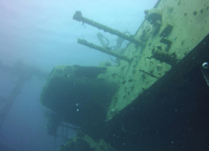 Debby van den Helder diving Red Sea, Jordan