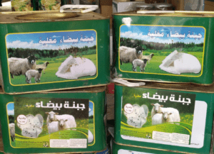 Jordanian sheep cheese