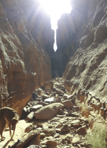 Lisan Traas, in a gorge with Wurad, Wadi Rum