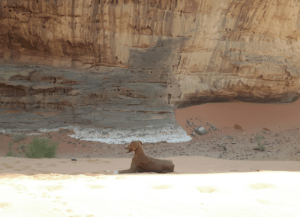 Lisan Traas, with Wurad in the desert