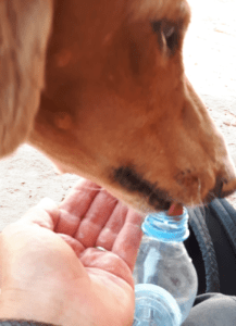 Lisan Traas samen met Wurad water drinken