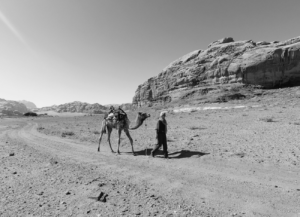 Nynke Laverman, With camels through the desert, retreat