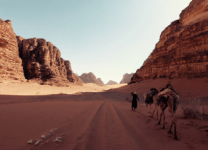 Nynke Laverman, Retraite met kamelen