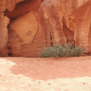 Zand bad therapie, Wadi Rum