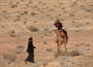 Tamar Malinoff, ervaren kameelrijdster
