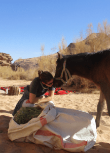 Heling met paarden, Wadi Rum