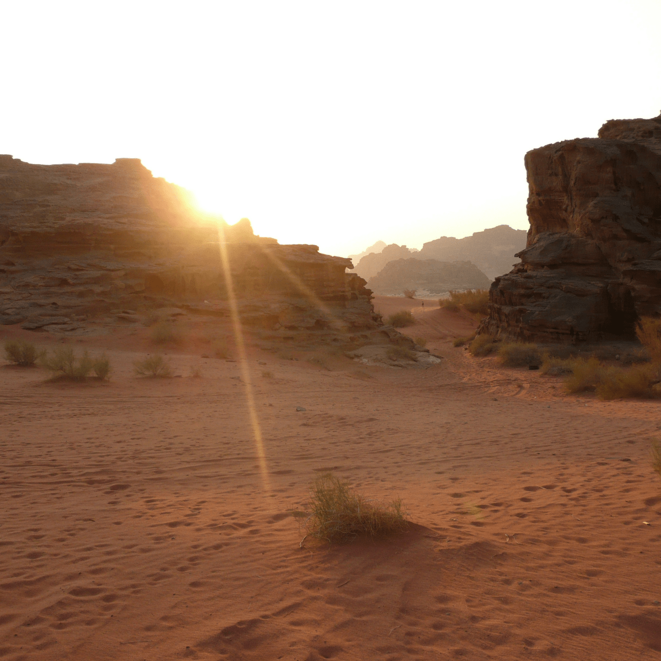 Yin yoga retreat in the desert, Jordan. With Marion Solaki