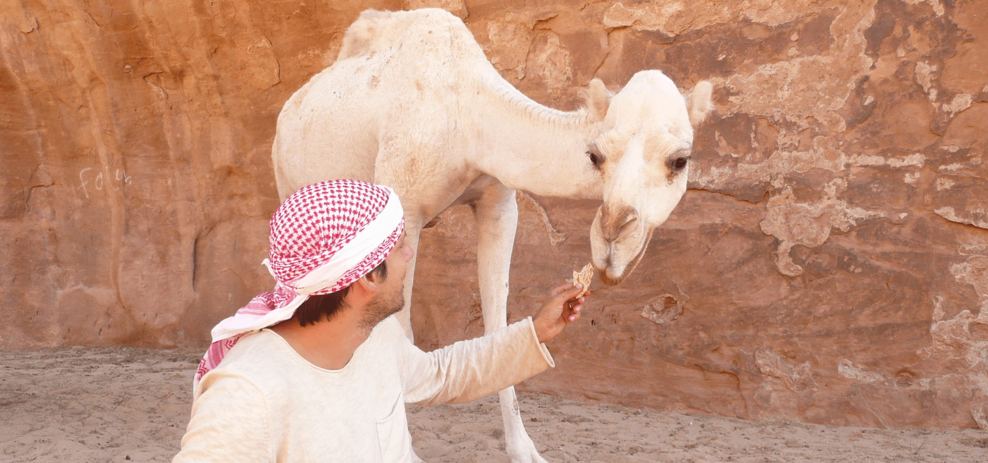 Nieuwe groepsreizen, meer retraites, meer reizen met » Desert Journeys